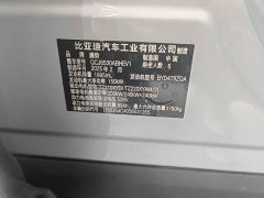 Denza BYD Denza N9 Flagship - ფოტო 20