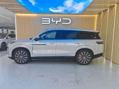 Denza BYD Denza N9 Flagship - ფოტო 3