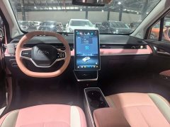 Neta V 2022 Tide 400 Lite Pink Custom Edition - ფოტო 11