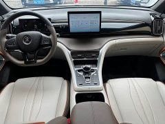 BYD Song Pro New Energy DM-i 51km Luxury - ფოტო 13