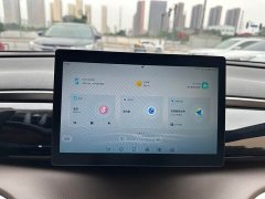 BYD Song Pro New Energy DM-i 51km Luxury - ფოტო 19