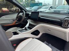 BYD Song Pro New Energy DM-i 51km Luxury - ფოტო 20