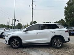 BYD Song Pro New Energy DM-i 51km Luxury - ფოტო 4