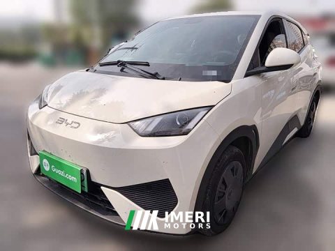 2025 BYD Seagull Smart Drive 305km Vitality Edition - ავტომობილი ჩინეთიდან