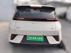 BYD Seagull Smart Drive 305km Vitality Edition - ფოტო 3