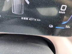 BYD Seagull Smart Drive 305km Vitality Edition - ფოტო 8