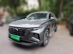 Hyundai Tucson L 1.5T Automatic Two-Wheel Drive DLX Luxury - ფოტო 1