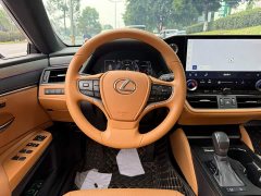 Lexus ES 200 Premium Edition - ფოტო 14