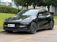 Tesla Model Y Rear-Wheel Drive - ფოტო 1