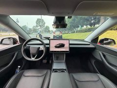 Tesla Model Y Rear-Wheel Drive - ფოტო 13