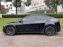 Tesla Model Y Rear-Wheel Drive - ფოტო 3