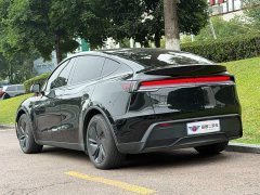 Tesla Model Y Rear-Wheel Drive - ფოტო 4