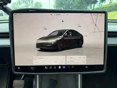 Tesla Model Y Rear-Wheel Drive - ფოტო 9
