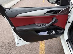 BMW X4 xDrive 25i M Sport Package - ფოტო 6