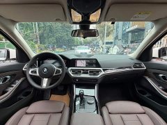 BMW 3 Series 320Li M Sport Package - ფოტო 13