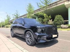 GAC Aion GS8 Pioneer Series 2.0T GDI FWD Luxury Smart Connected Edition (6-Seater) - ფოტო 3