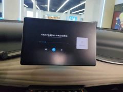 BYD Yuan Plus 2024 Glory Edition 430KM Leading - ფოტო 13