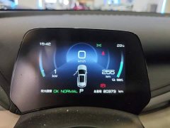 BYD Yuan Plus 2024 Glory Edition 430KM Leading - ფოტო 14
