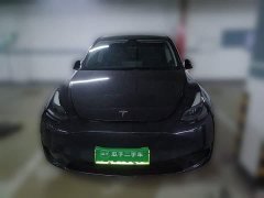 Tesla Model Y Rear-Wheel Drive - ფოტო 2