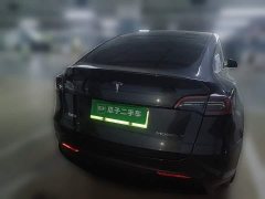 Tesla Model Y Rear-Wheel Drive - ფოტო 3
