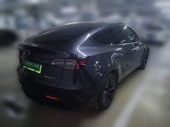 Tesla Model Y Rear-Wheel Drive - ფოტო 4