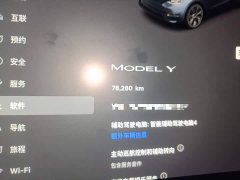 Tesla Model Y Rear-Wheel Drive - ფოტო 8