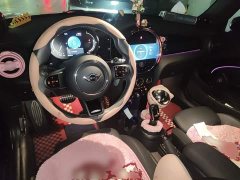 BMW MINI 2.0T COOPER S CABRIO Racer - ფოტო 5