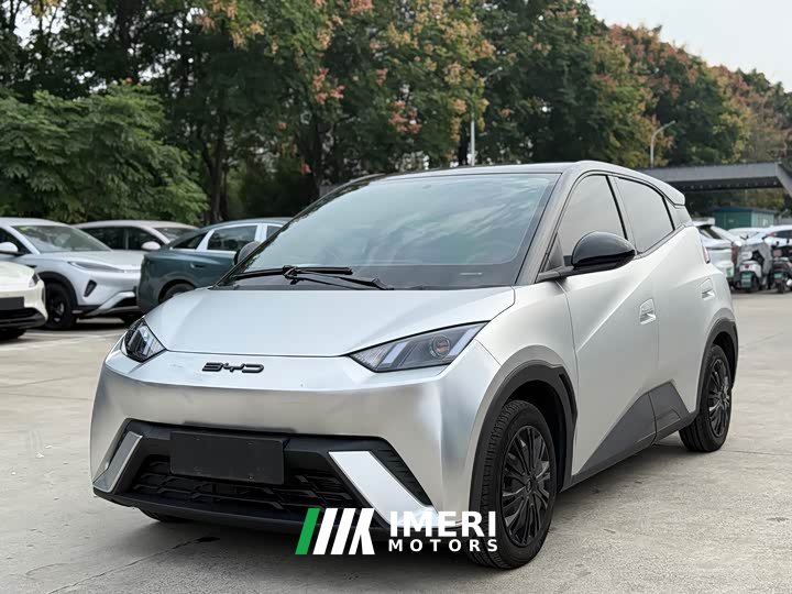 BYD Seagull Glory Edition 305km Vitality Version - ავტომობილი ჩინეთიდან