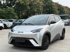 BYD Seagull Glory Edition 305km Vitality Version - ფოტო 1