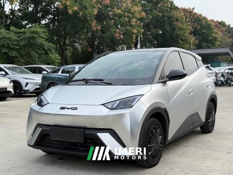 2024 BYD Seagull Glory Edition 305km Vitality Version - ავტომობილი ჩინეთიდან
