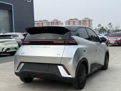 BYD Seagull Glory Edition 305km Vitality Version - ფოტო 11