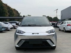 BYD Seagull Glory Edition 305km Vitality Version - ფოტო 2