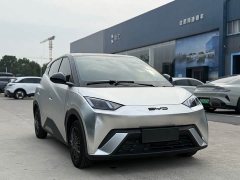 BYD Seagull Glory Edition 305km Vitality Version - ფოტო 3