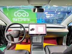 Tesla Model 3 2022 Rear-Wheel Drive - ფოტო 12