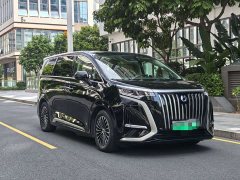 Denza BYD Denza D9 EV 620 Premium Edition - ფოტო 3
