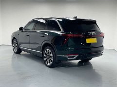 Great Wall WEY Blue Mountain 2023 Four-Wheel Drive Extended Range Version - ფოტო 6