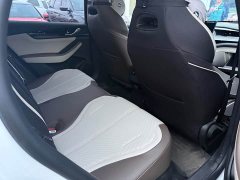 BYD Qin PLUS Glory Edition DM-i 55KM Leading - ფოტო 10