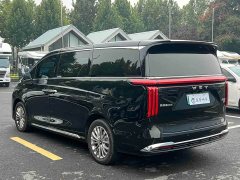 Great Wall WEY Shanshan New Energy Four-Wheel Drive Shanshan 8 - ფოტო 8