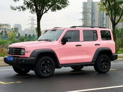 Tank 300 Off-Road Edition 2.0T Challenger - ფოტო 1