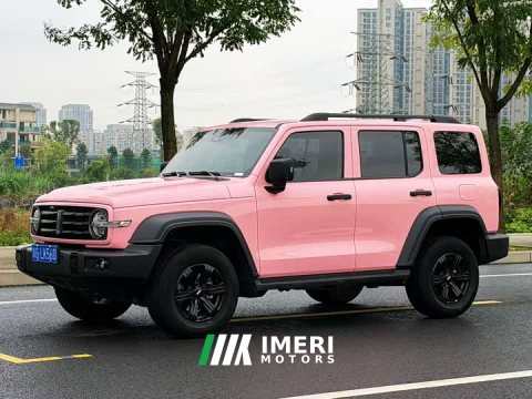 2021 Tank 300 Off-Road Edition 2.0T Challenger - ავტომობილი ჩინეთიდან