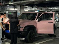 Tank 300 Off-Road Edition 2.0T Challenger - ფოტო 4