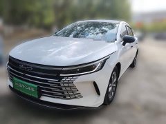 BYD Destroyer 05 Glory Edition DM-i 55KM Luxury - ფოტო 1