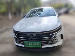 BYD Destroyer 05 Glory Edition DM-i 55KM Luxury - ფოტო 2