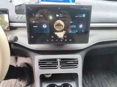 BYD Destroyer 05 Glory Edition DM-i 55KM Luxury - ფოტო 9