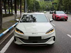 BYD Seal 06 DM-i Smart Drive Edition 80KM Luxury - ფოტო 2