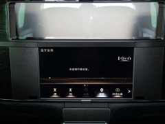Lexus LM 2020 300h Four-Seat Royal Edition - ფოტო 10