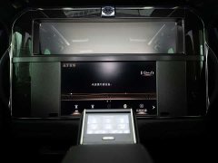 Lexus LM 2020 300h Four-Seat Royal Edition - ფოტო 11