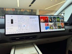 Li Auto Li Xiang MEGA Ultra - ფოტო 14