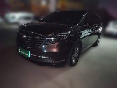 Buick GL8 ES Land Respect 653T Respect Enjoyment Edition - ფოტო 1