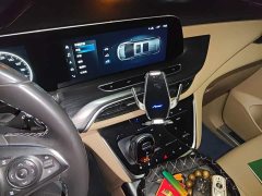 Buick GL8 ES Land Respect 653T Respect Enjoyment Edition - ფოტო 14